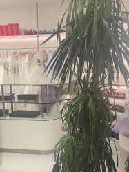 点击看大图 -小阿福儿童摄影(摩尔城店)