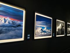 -罗红摄影艺术馆