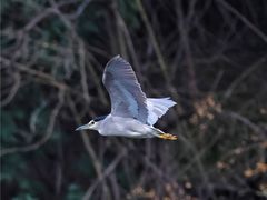 -重庆彩云湖湿地公园