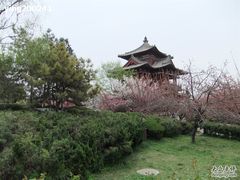 -西安青龙寺遗址景区