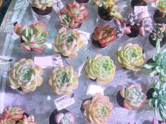 -KKV(深圳kk one 店)
