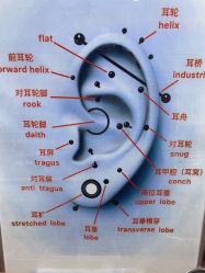 -AI艾耳·专业手工耳洞·穿孔美学馆