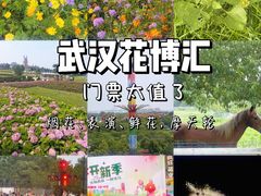 -花博汇(知音花月夜)