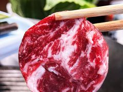 -佟爷·老北京炙子烤肉(动物园店)