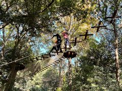 -杭州开元森泊度假乐园