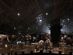 -世界恐龙谷景区