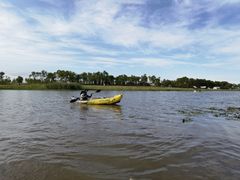-春花秋色城市公园
