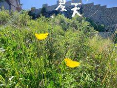 -白草畔自然风景区