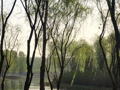 -东郊湿地公园