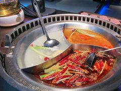 -辣伍鲜毛肚老火锅(元一店)