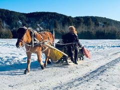 -北极村旅游风景区