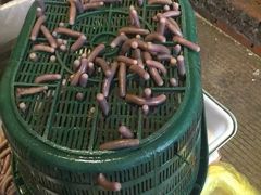 沙虫-海峡水产品交易中心(海鲜交易区)