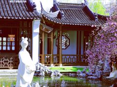 -莫愁湖公园