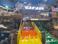 -卡通尼·Safari非洲探索乐园·生日会(金桥国际商业广场店)