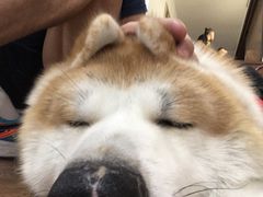 -YCHL Studios健身工作室(市二宫店)
