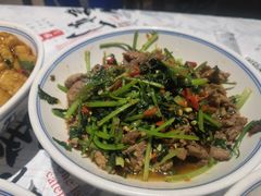 -壹盏灯(惠农店)