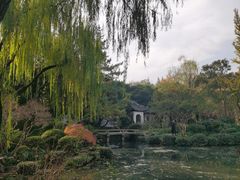 -秋霞圃
