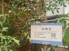 -呀路古热带植物园