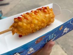 -珠海长隆海洋王国