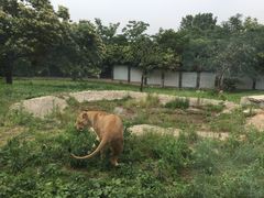 -西安秦岭野生动物园