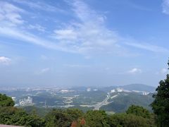 -黄埔油麻山森林公园