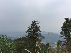 -广州市帽峰山景区