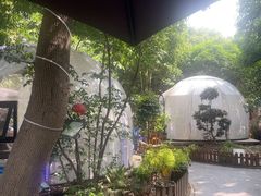 -张鸟园农家乐(张鸟园店)