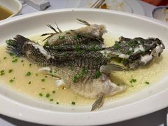 -席家花园(巨鹿花园店)