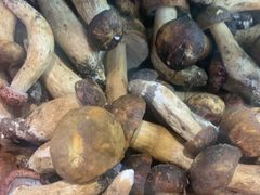 -菌之家·专业纯野生菌火锅·特色炒菌
