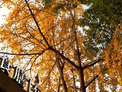 -食膳公园包子铺(烈士公园店)