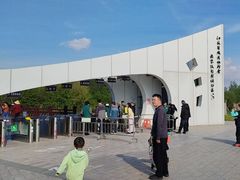 -盐城丹顶鹤湿地生态旅游区