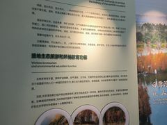 -白鹭湾湿地公园