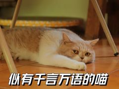 -彳亍咖啡·这里(水湾路店)