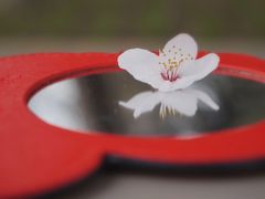 -木塔寺遗址生态公园