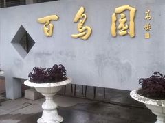 android_upload_pic-百鸟园