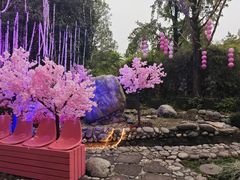-成都欢乐谷