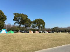 -上海滨江森林公园
