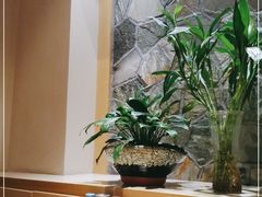 -琴寿司居酒屋(软件园店)