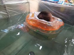 -爱婴室(上海大华路店)