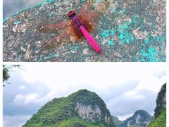 -靖西鹅泉风景区