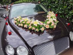 -蚂蚁婚车