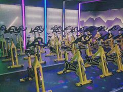 -金吉鸟健身游泳