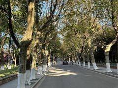 -华东政法大学(松江校区)