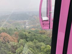 -东湖磨山景区