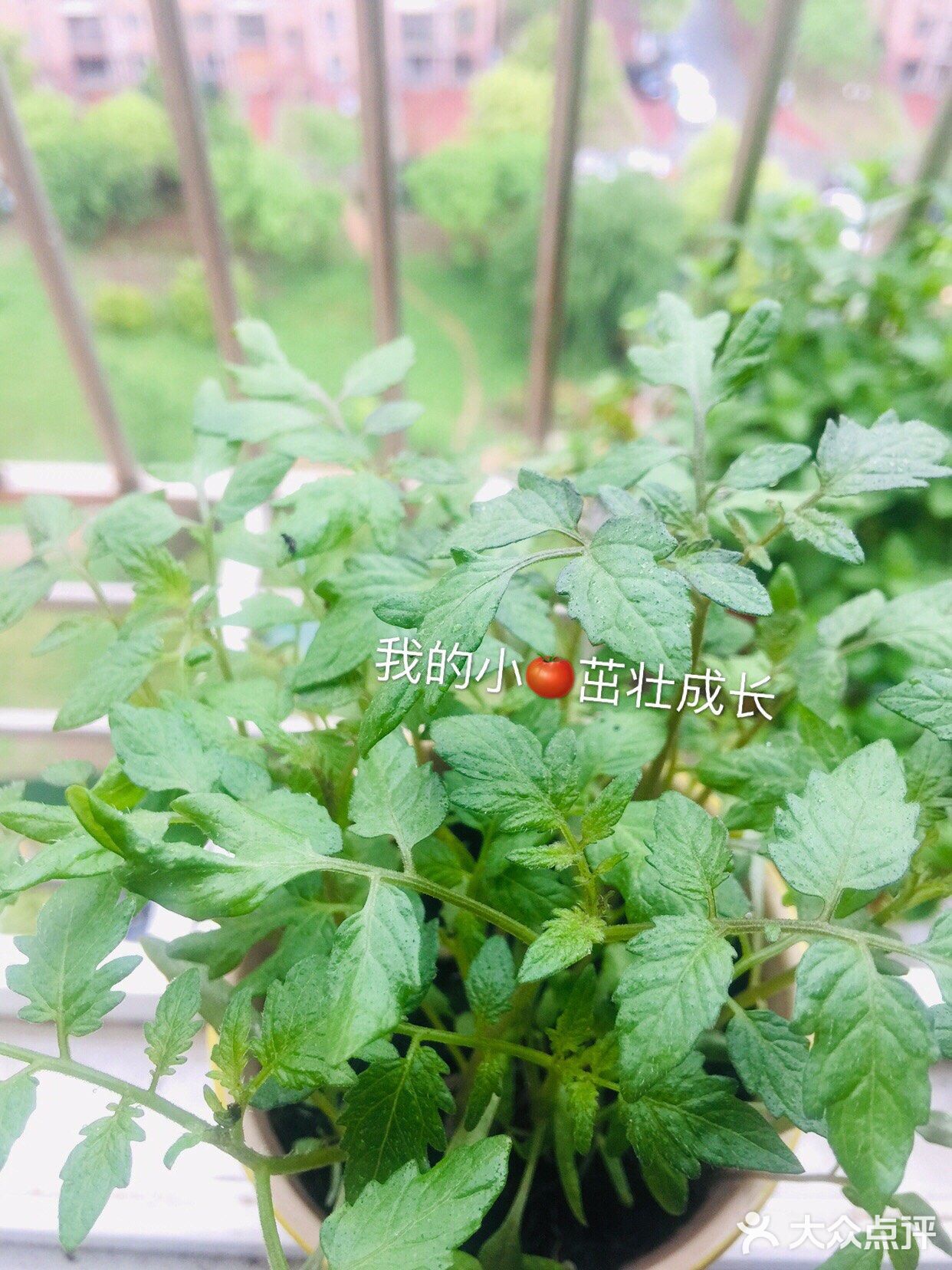 早餐已吃好，赶紧上班打卡去