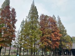 -苏州上方山国家森林公园