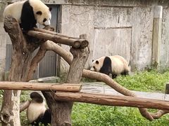 景点-重庆动物园