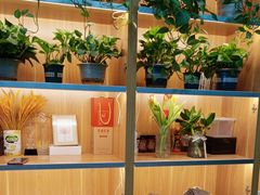 -上曜家洗衣奢侈品护理(龙茗路店)