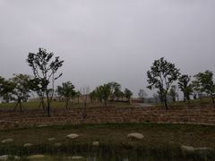 -盘龙城国家考古遗址公园