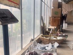 -马陆小张葡萄园农家乐